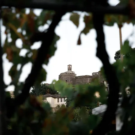 Martin * Gjirokastër