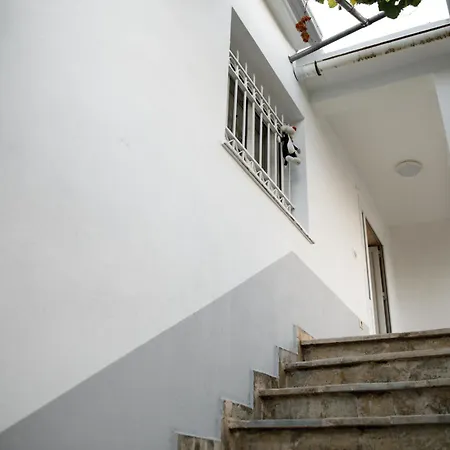 Martin * Αργυρόκαστρο